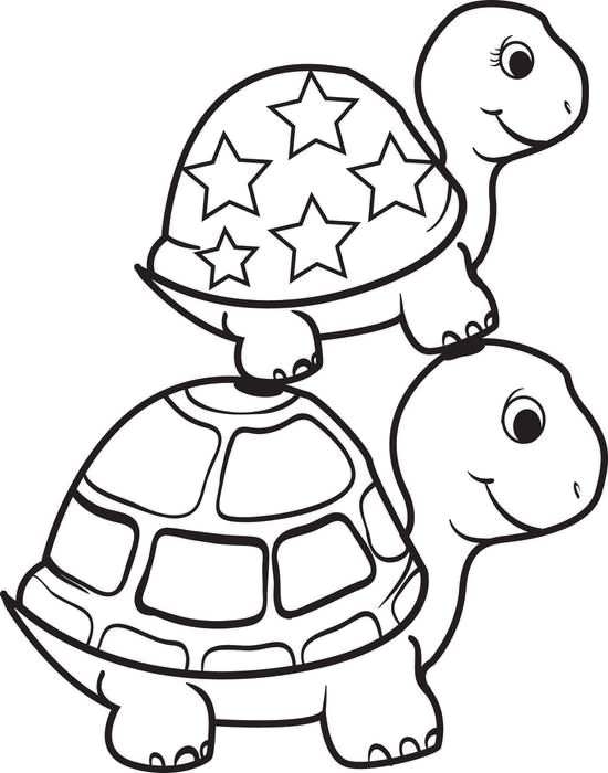 الگوی نمدی لاکپشت دریایی