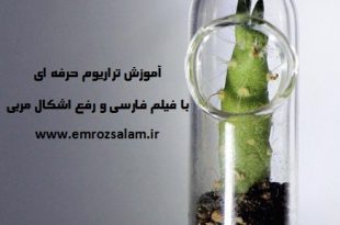 آموزش تراریوم حرفه ای