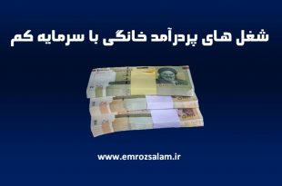 شغل های پردرآمد خانگی با سرمایه کم