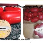 آموزش سوسیس و کالباس صنعتی و خانگی