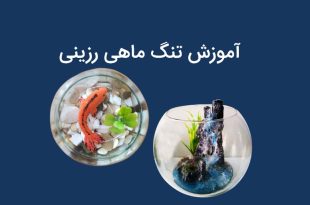 آموزش تنگ ماهی رزینی
