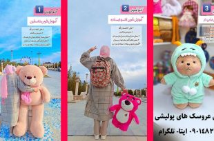 کلاس آموزش عروسک پولیشی