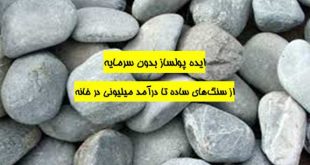 ایده های پولساز بدون سرمایه