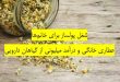 شغل پولساز برای خانمها