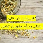 شغل پولساز برای خانمها