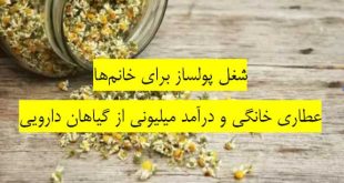 شغل پولساز برای خانمها